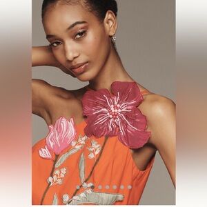 NWT anthropologie dress